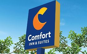 Comfort Inn Texas City
